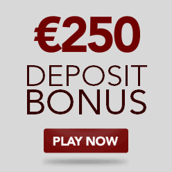 d casino