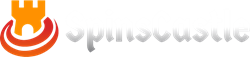 SpinsCastle